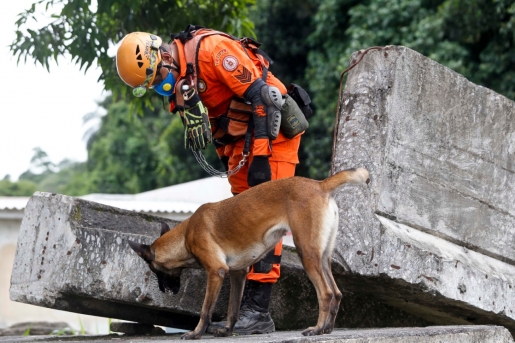Chuvas de verão: Governo do Estado promove treinamento de Bombeiros com cães em simulação de soterramento