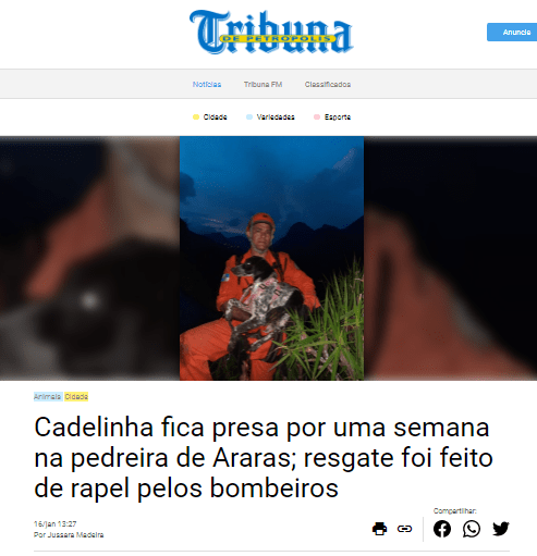 Cadelinha fica presa em Araras e é salva de rapel pelo CBMERJ – Tribuna de Petrópolis
