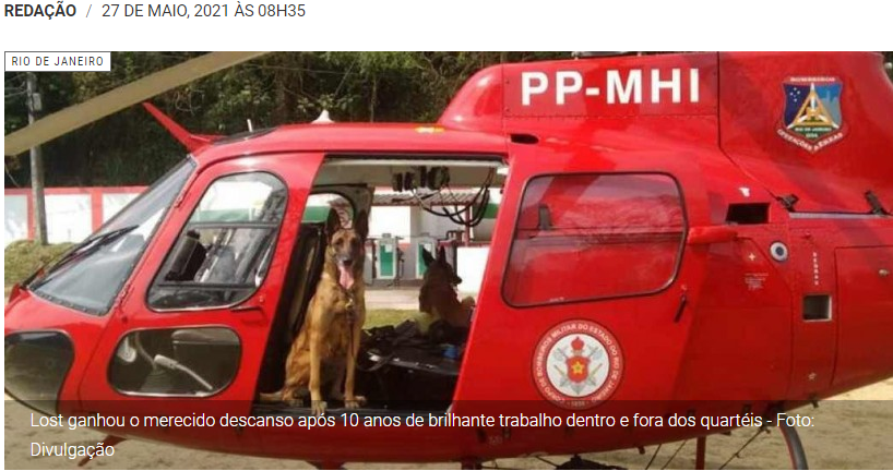 Cão herói do Corpo de Bombeiros ganha aposentadoria – O Fluminense