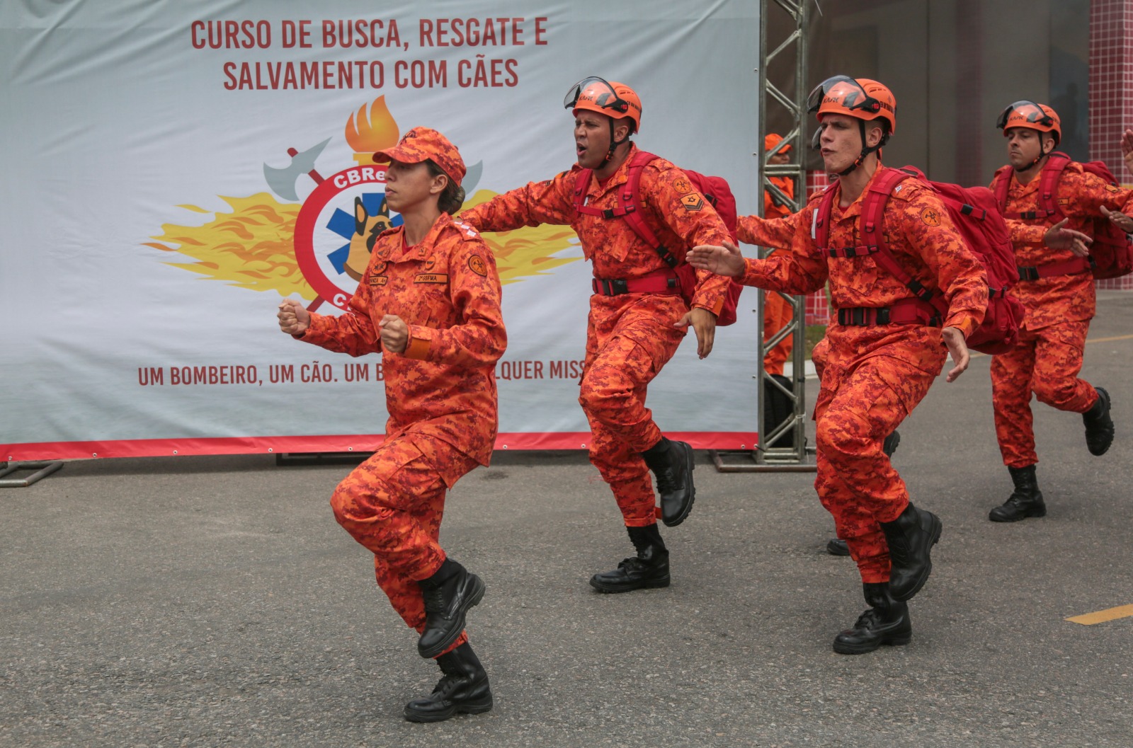 Corpo de Bombeiros RJ forma novos condutores de cães de busca e resgate