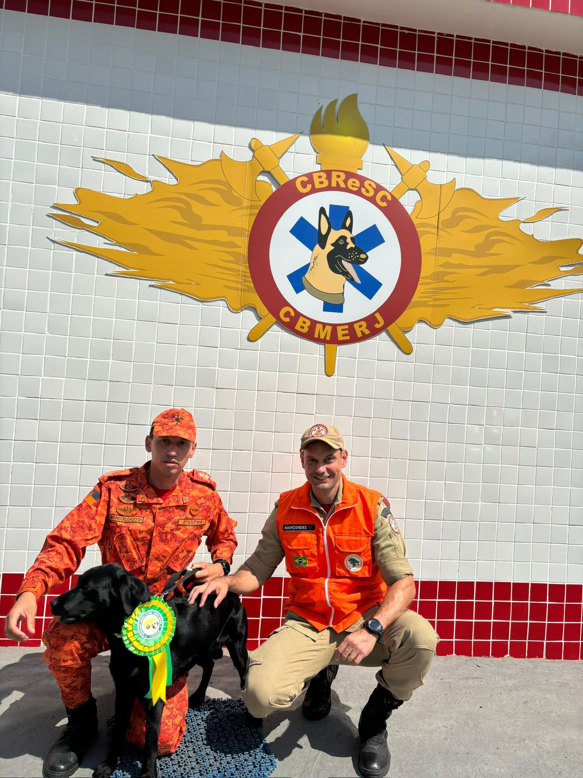 Cães do Corpo de Bombeiros RJ são certificados em evento da LIGABOM⁣​